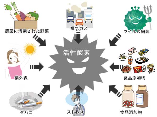 活性酸素の発生源